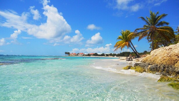 A beach with clear turquoise water, palm trees, and a distant shoreline with buildings.