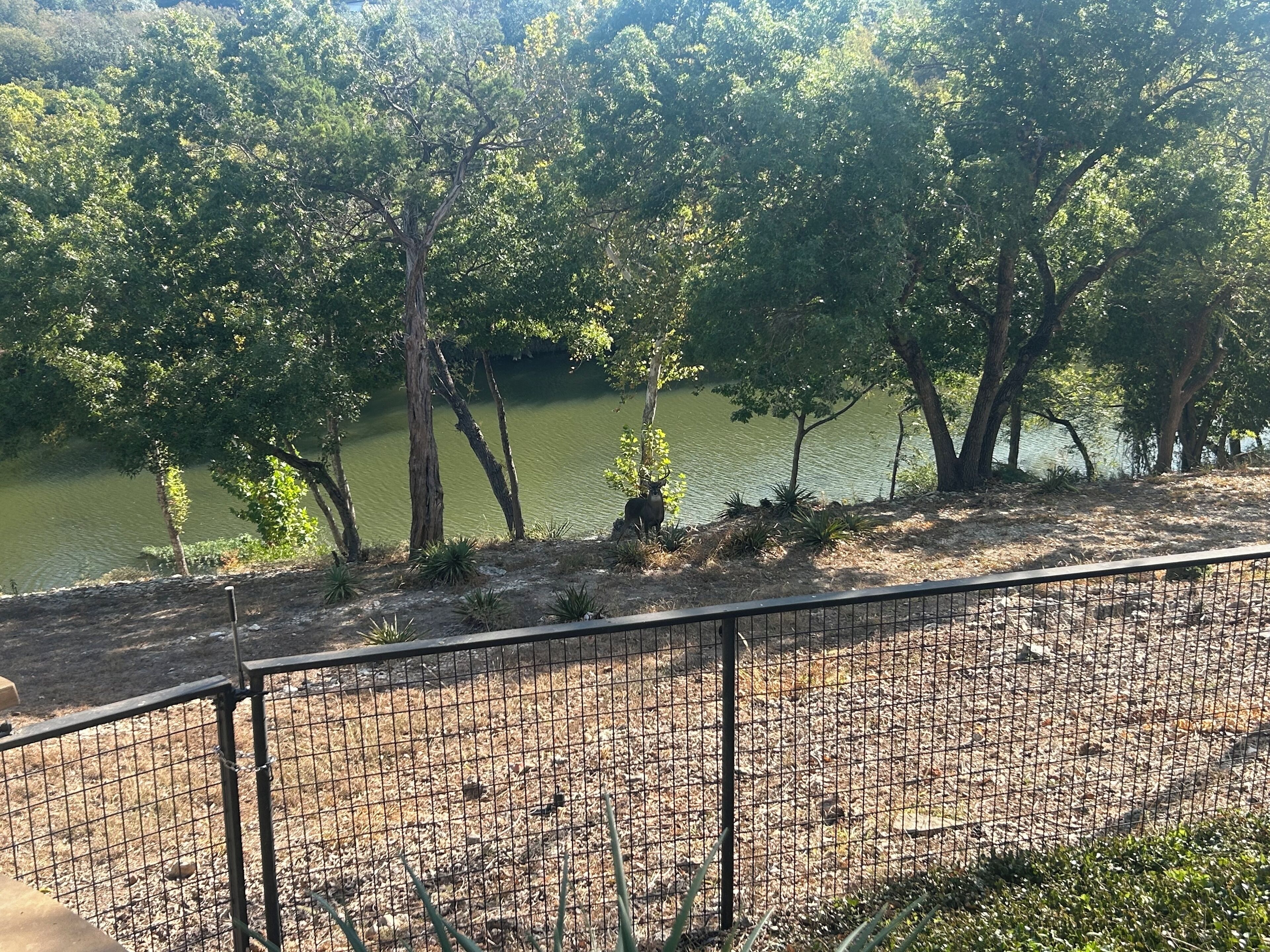 Un espace clos offrant une vue sur un lac et des arbres.