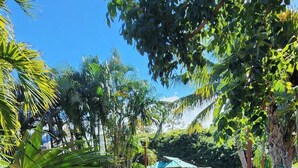 A swimming pool surrounded by lush greenery, with a wooden deck and lounge chairs.