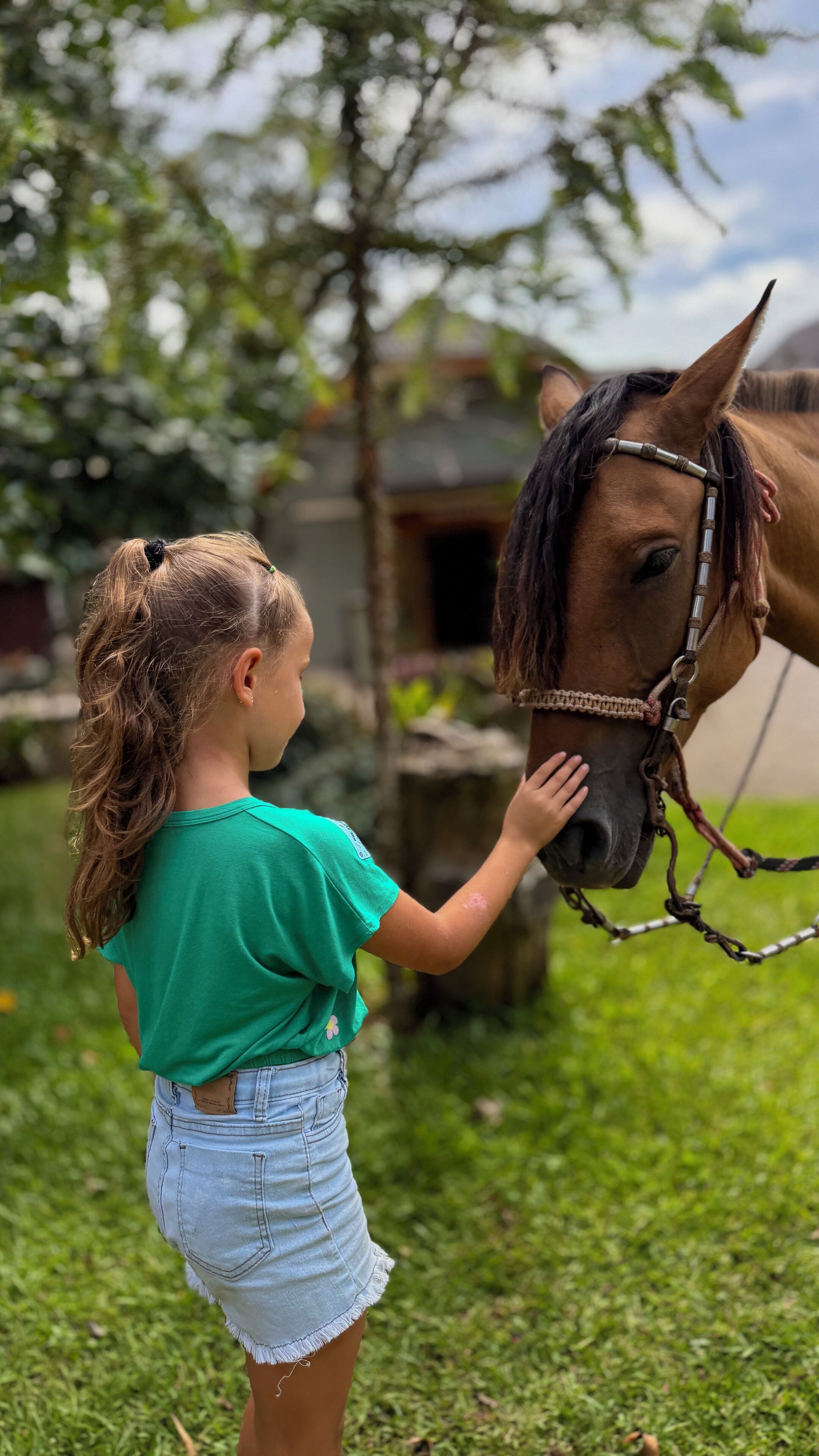 A person in a green shirt and denim shorts petting a horse.