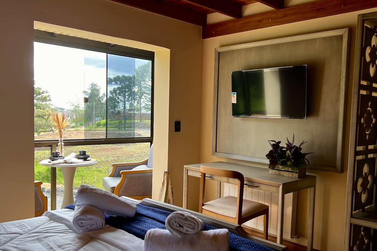 A hotel room with a bed, a desk, a chair, a TV, and a view of the outdoors.