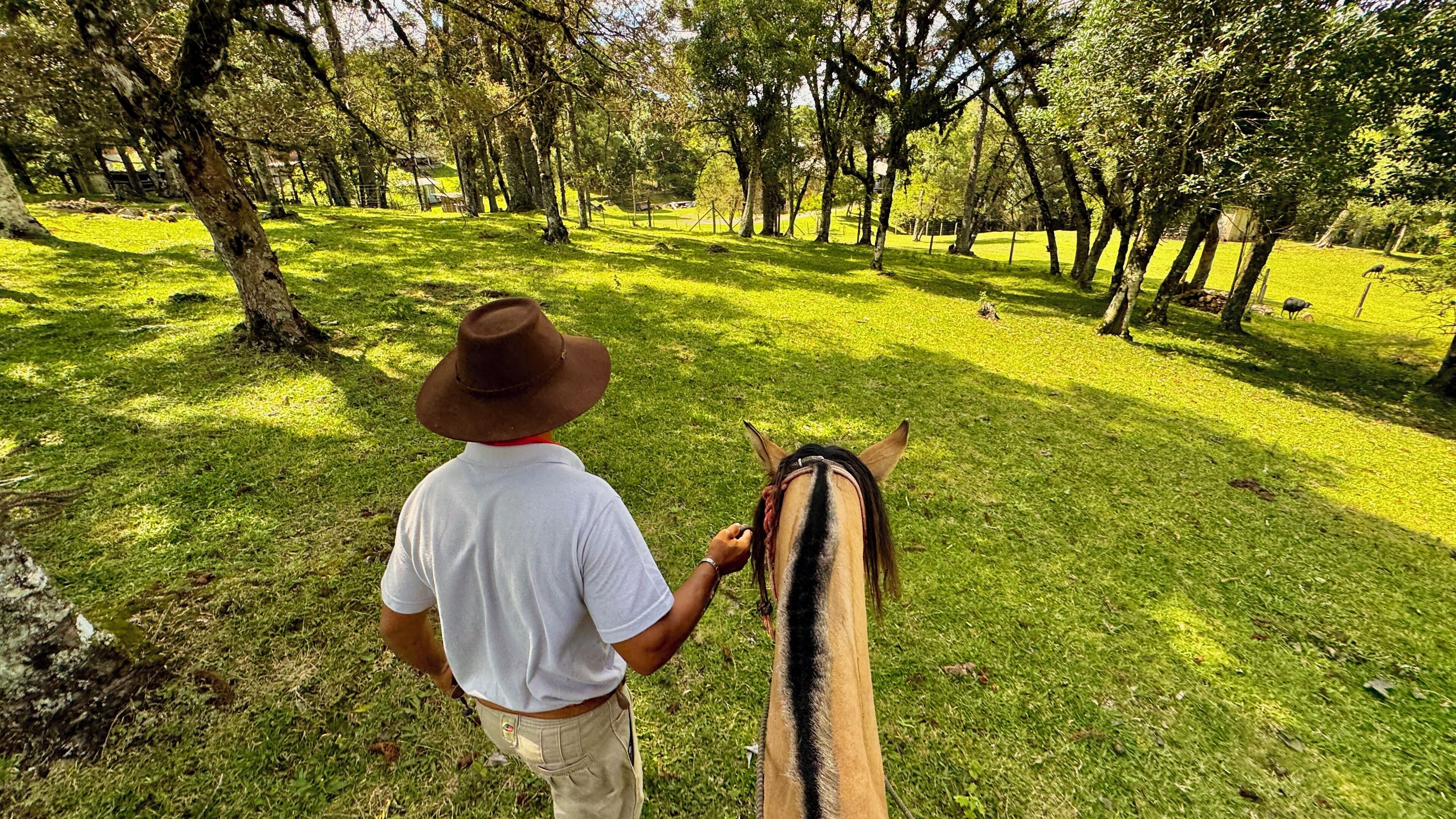 A man in a white shirt and brown hat standing next to a horse with a brown and white coat.