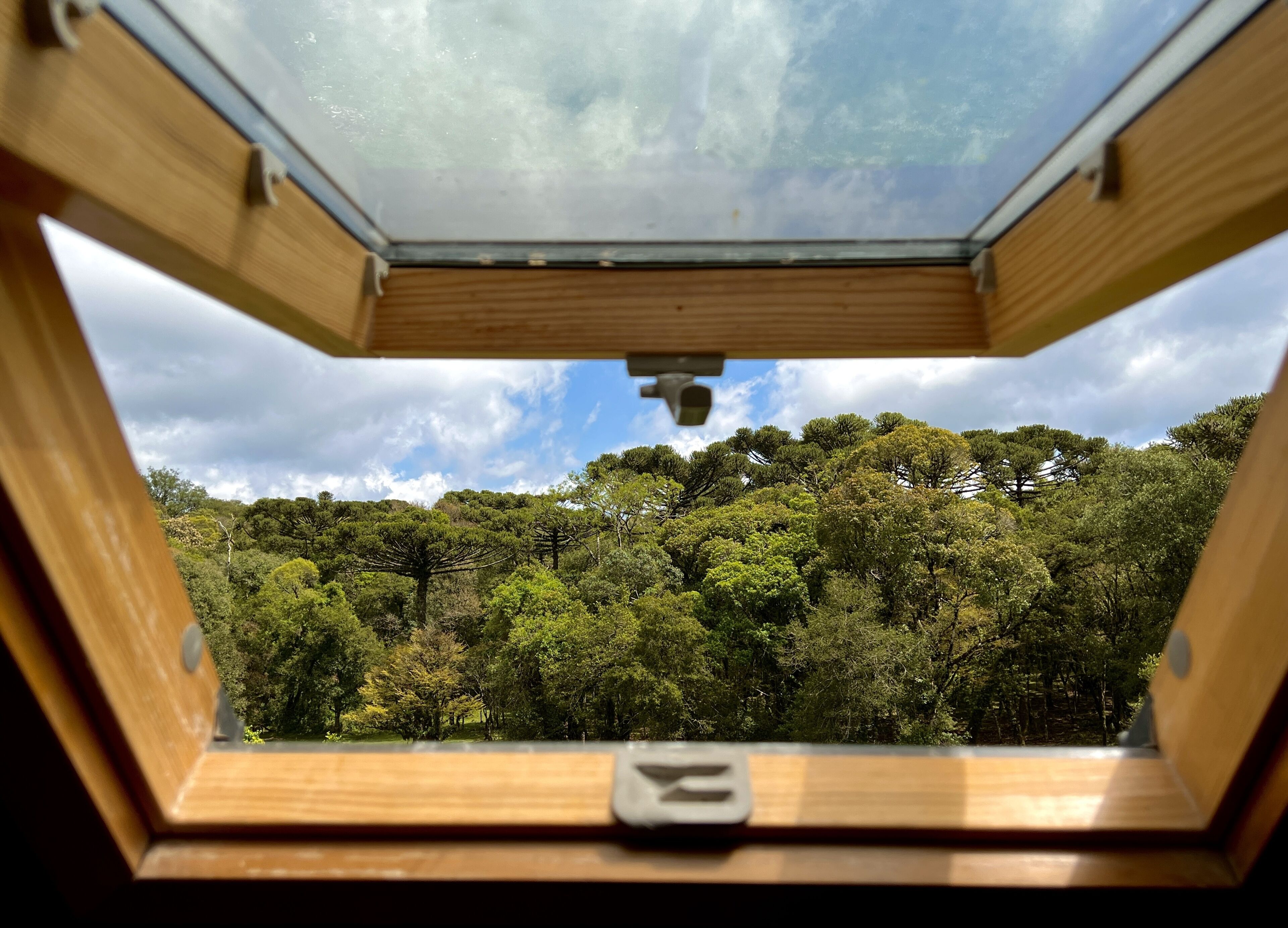 Vista a través de una ventana de madera que da a un bosque frondoso bajo un cielo nublado.