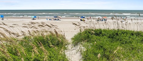 On the beach