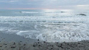 A beach with waves and a cloudy sky. - Pacific View by Tiny Away (Leithfield)