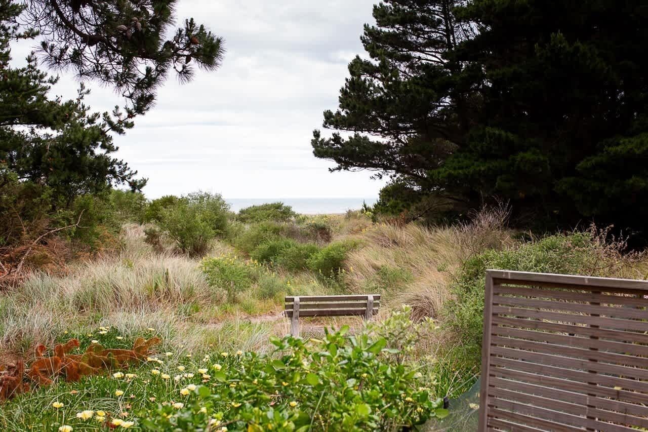 Un banc situé dans un cadre naturel, entouré d’arbres, avec vue sur l’océan.