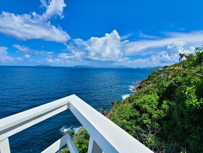 Property grounds - Paradise with Exquisite Ocean View (St Thomas)