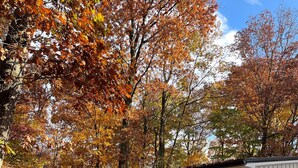 A single-story white building with a black door and windows, surrounded by autumn leaves and trees.
