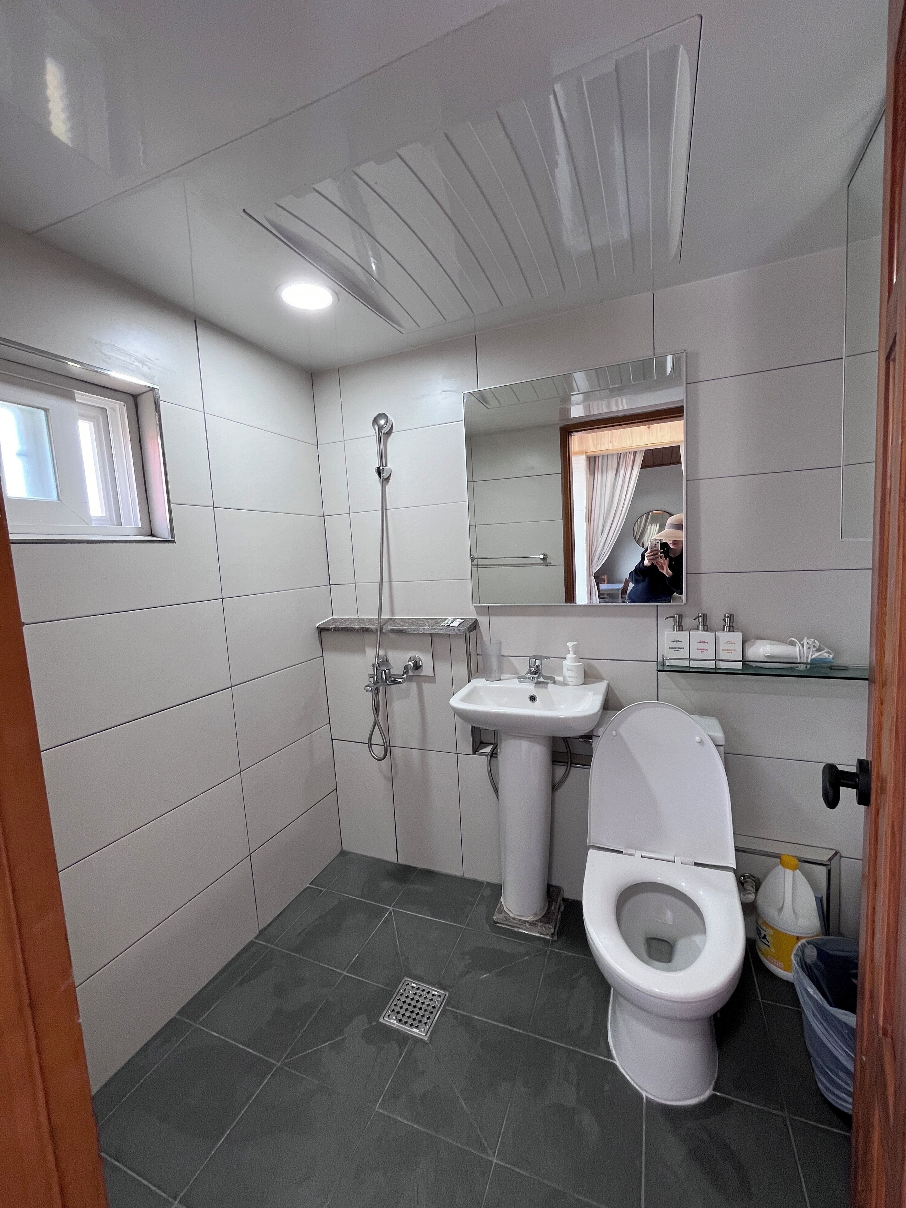 Un baño con inodoro, lavamanos, ducha y espejo.
