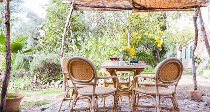 Family apartment Ca l'Amo