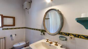 Een bad/douchecombinatie, een bidet