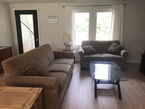 Smart TV, fireplace, DVD player, books