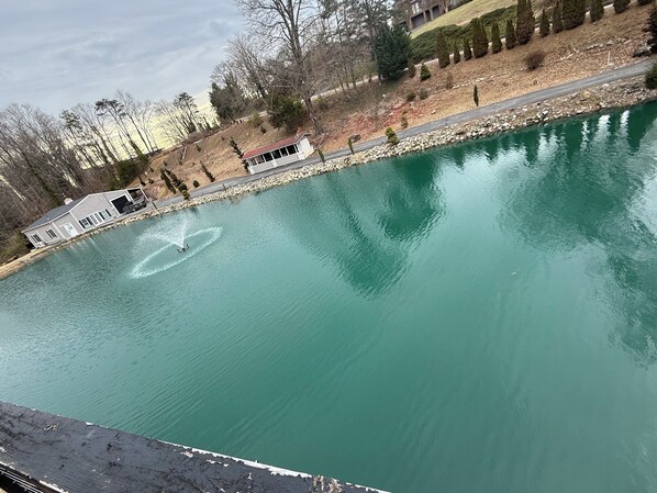 A tranquil outdoor swimming pool with a fountain, surrounded by a landscaped area with trees and a small building. - Beautiful Renovated Lake Cottage in SW County and only minutes from Downtown! (Roanoke)
