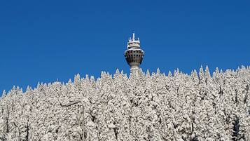 Comfort Apartment | View from room