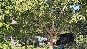 Een gebied met bomen, een bankje en een voertuig op de achtergrond.