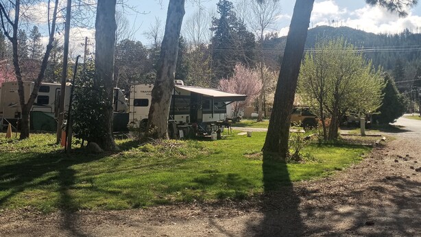 Een camping met campers en tenten, omgeven door bomen en een onverhard pad.