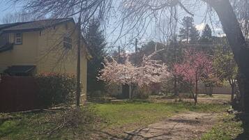 Ein Wohngebiet mit einem Haus, einem Baum in voller Blüte und blauem Himmel.