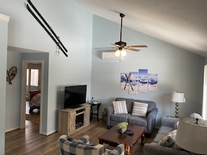 TV, fireplace, video games, DVD player