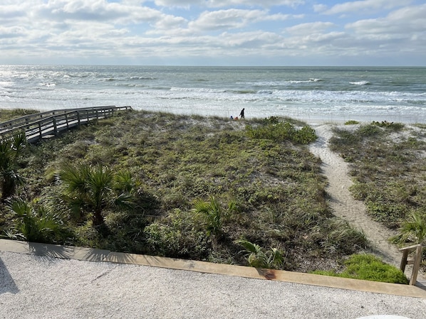 A coastal walkway with a wooden bridge, surrounded by dense vegetation and leading to the ocean.