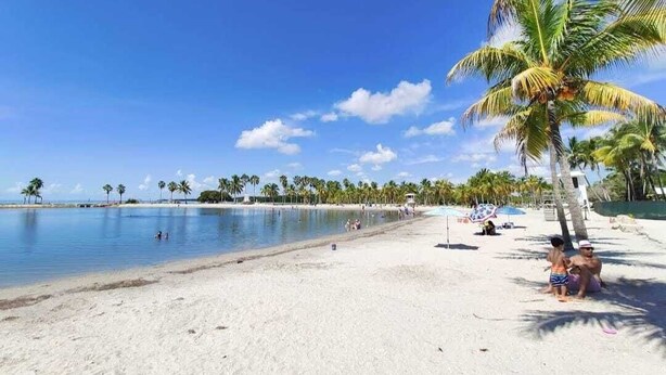 A beach with clear blue water, palm trees, and a sandy shore. - Luxurious & Spacious Townhouse in Prime Location (Miami)