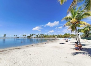 A beach with clear blue water, palm trees, and a sandy shore.