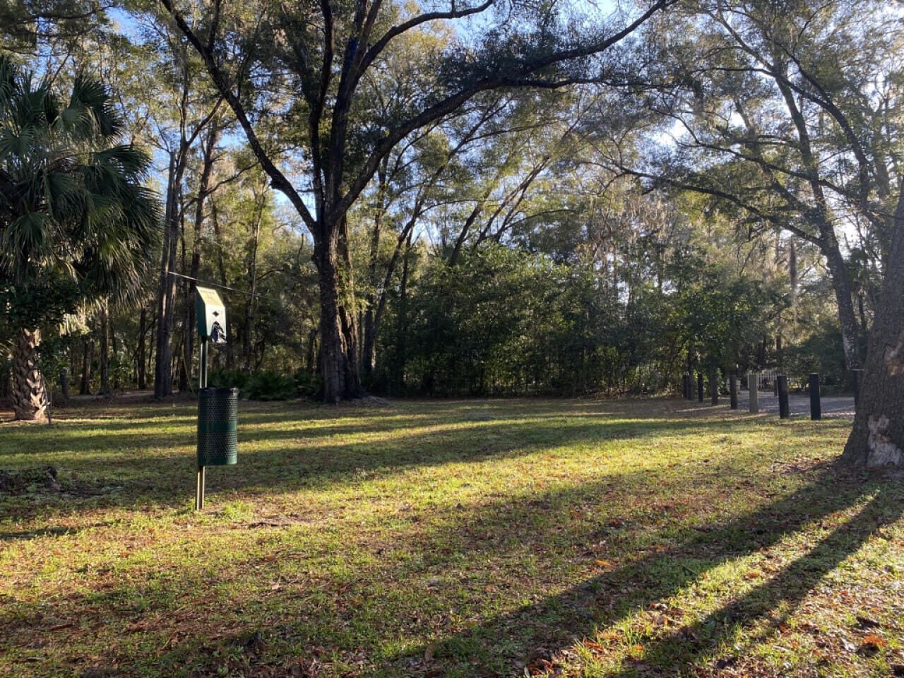 A park with a grassy area, trees, and a trash can.