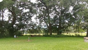 A grassy outdoor area with trees and a small structure.