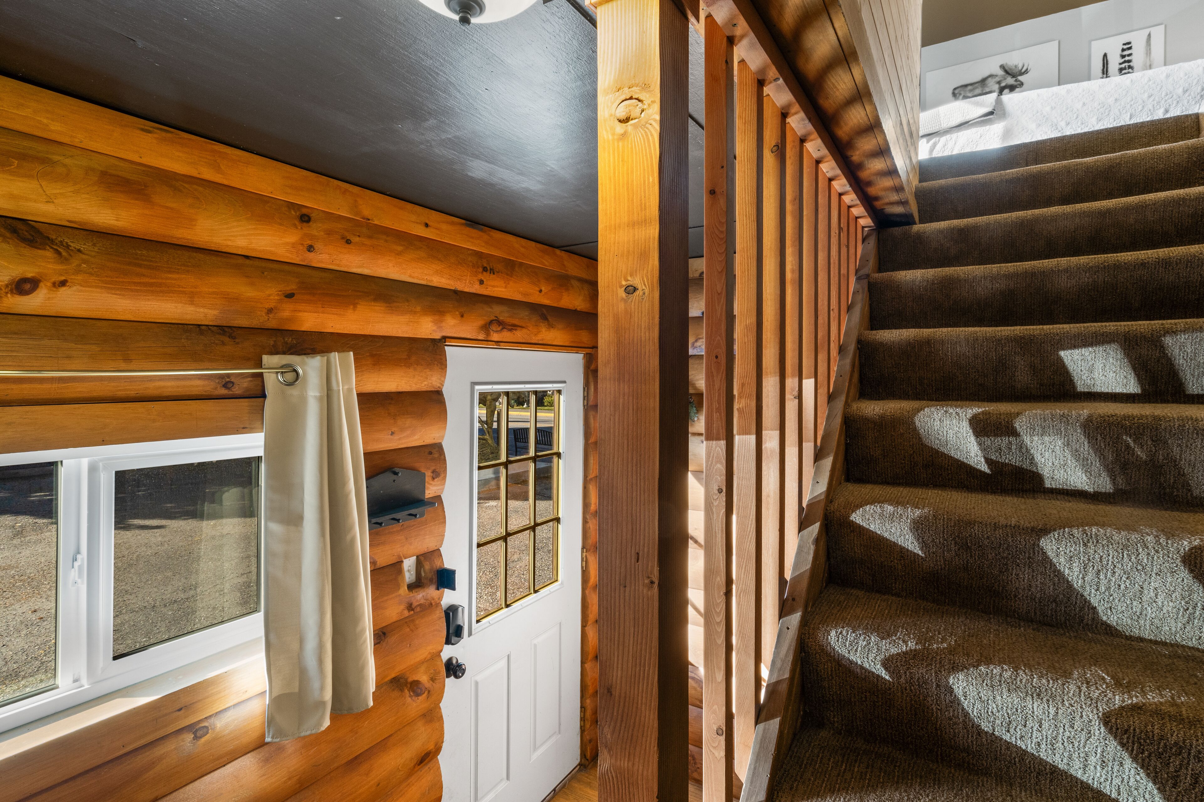 Foto - The Bucking Moose