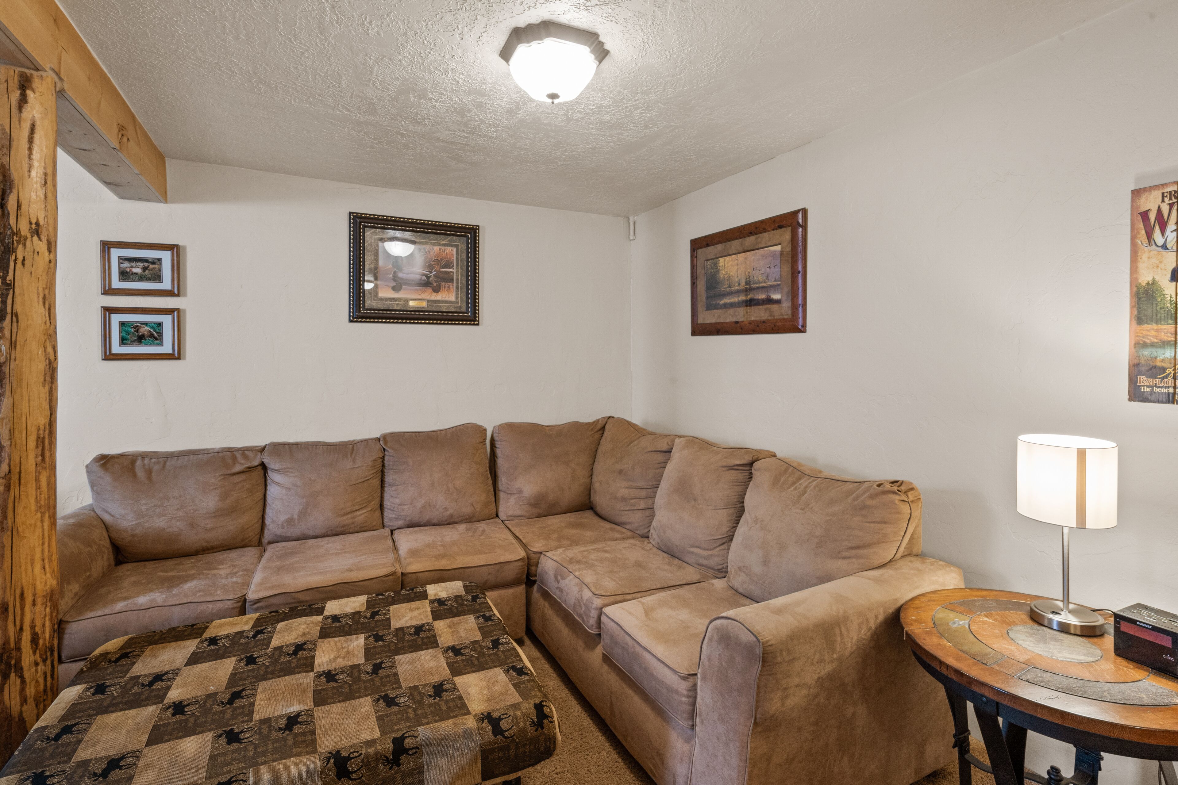 Foto - The Bucking Moose