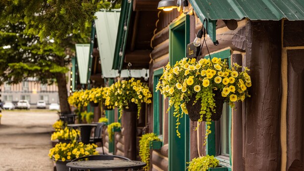 A row of outdoor tables and chairs with hanging flower baskets. - The Bucking Moose (West Yellowstone)