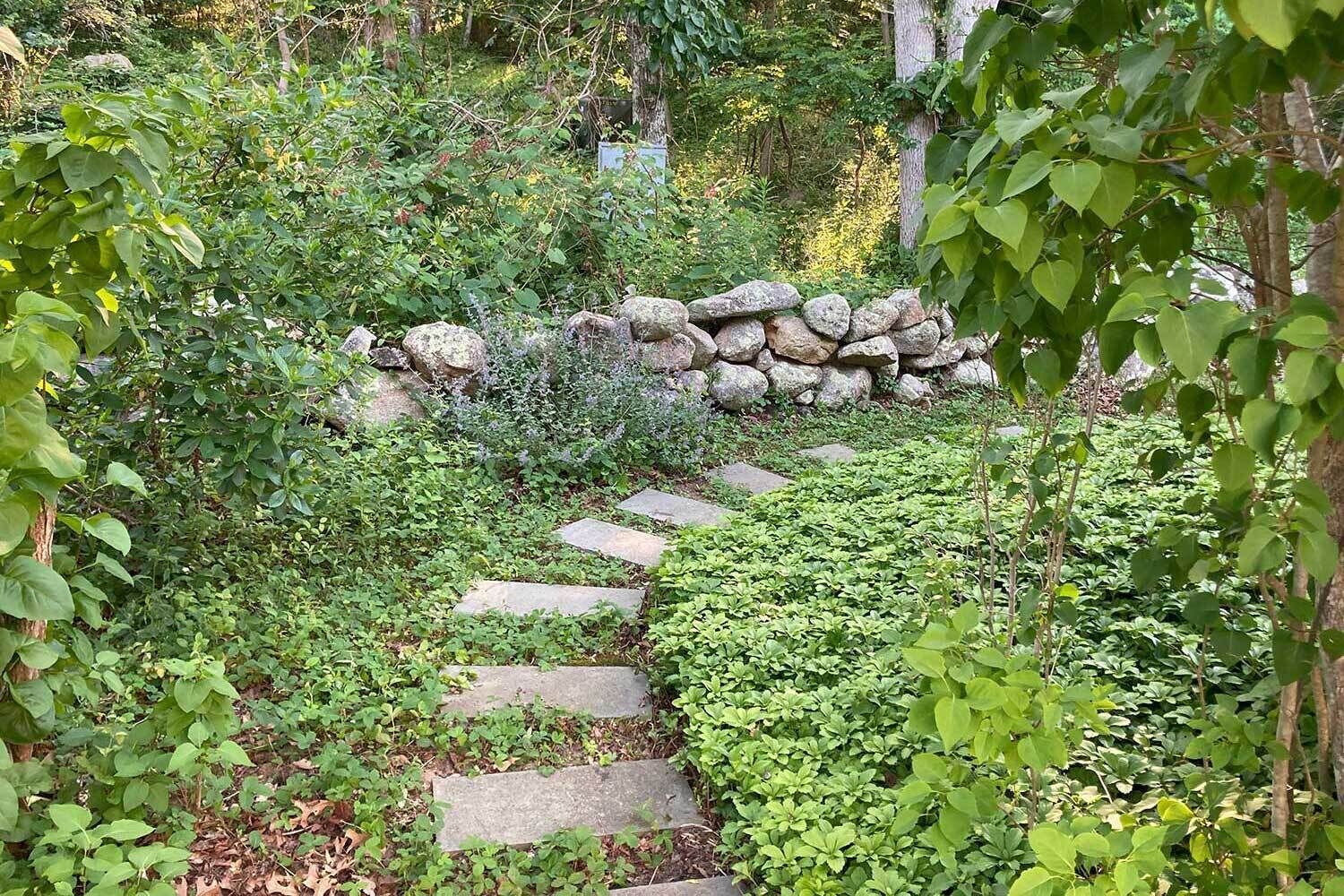 Área da propriedade