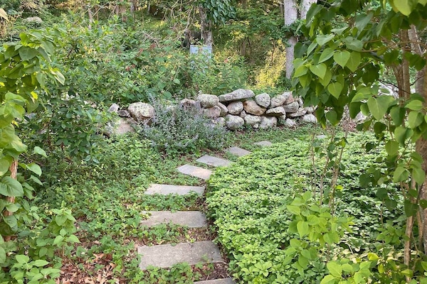 Terrain de l’hébergement