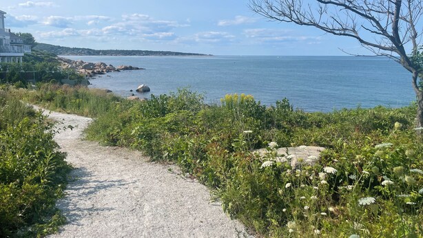 A gravel path leading to a coastal area with a view of the sea and a tree-lined path.