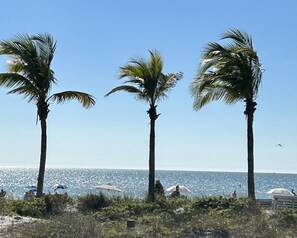 Three palm trees, a beach, and the ocean.