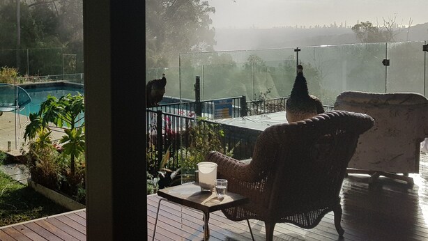 A view from a room with a wooden deck overlooking a swimming pool and a city skyline.