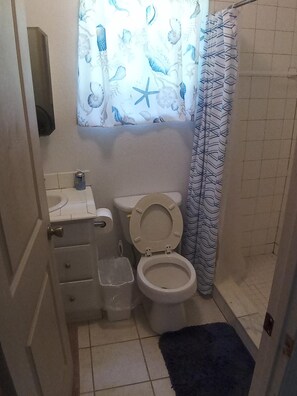 Dusche, Haartrockner, Handtücher, Seife