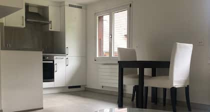 BEL APPARTEMENT DUPLEX A LA CAMPAGNE A 3KM DE DELEMONT