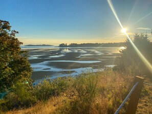 Plage à proximité, chaises longues, serviettes de plage