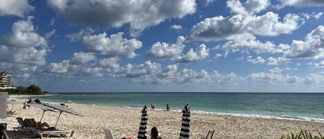 بالقرب من الشاطئ