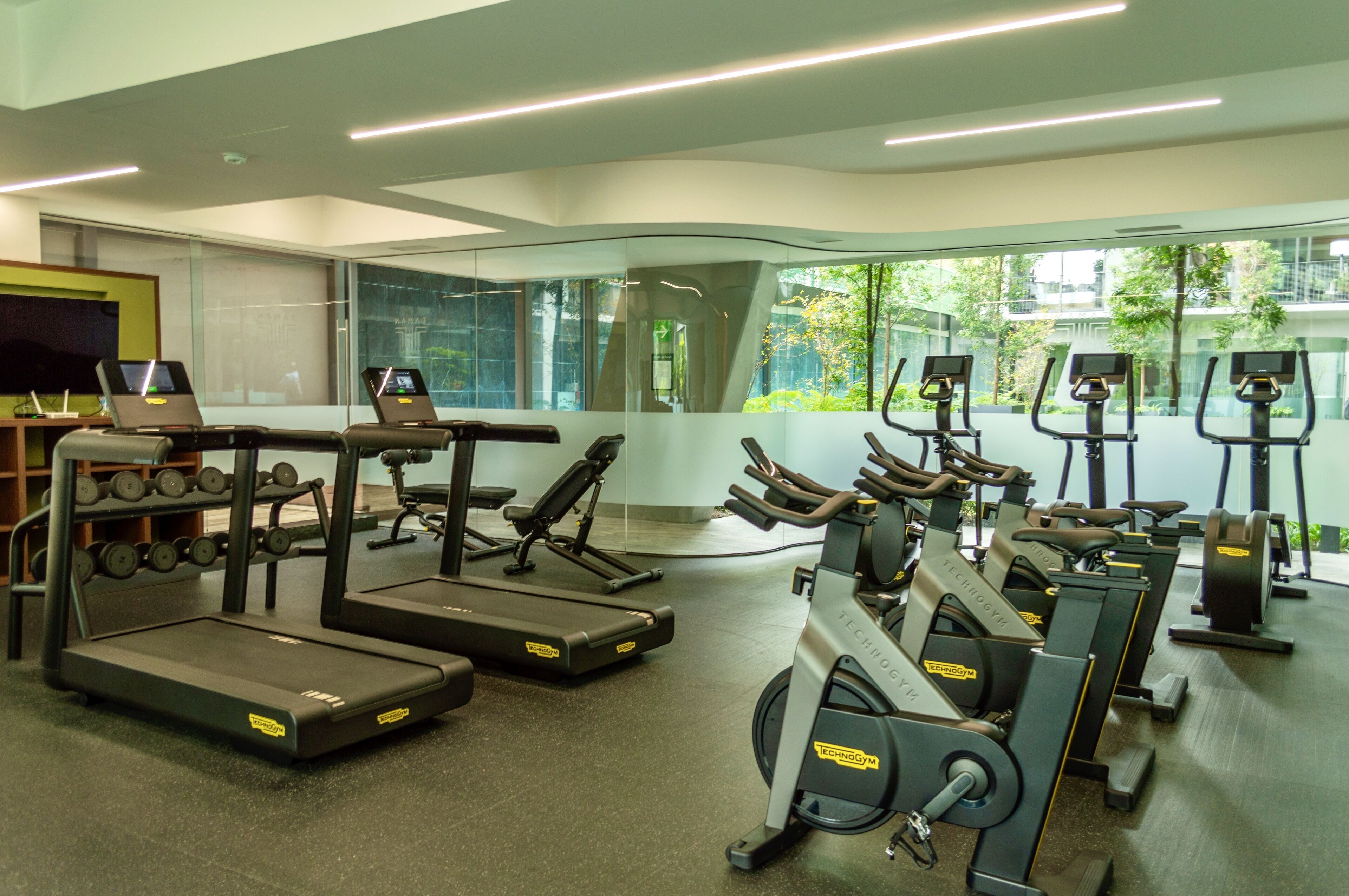 Gimnasio