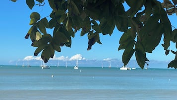 Una spiaggia nelle vicinanze