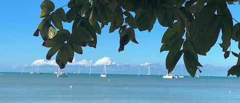 Tæt på stranden