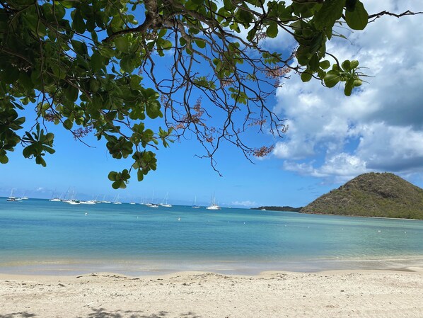 Playa en los alrededores 