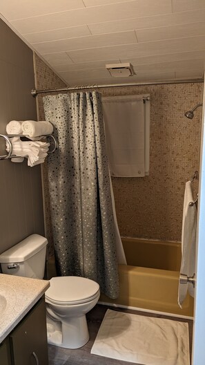 Une salle de bain équipée de toilettes, d’un lavabo, d’une baignoire et d’un rideau de douche.
