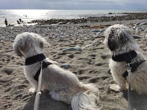 Plage à proximité