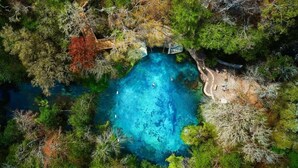En vy från ovan av en klarblå pool omgiven av tät vegetation.