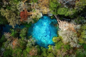 An aerial view of a clear blue pool surrounded by dense foliage. - Gainesville Fur Friendly Condo (Gainesville)