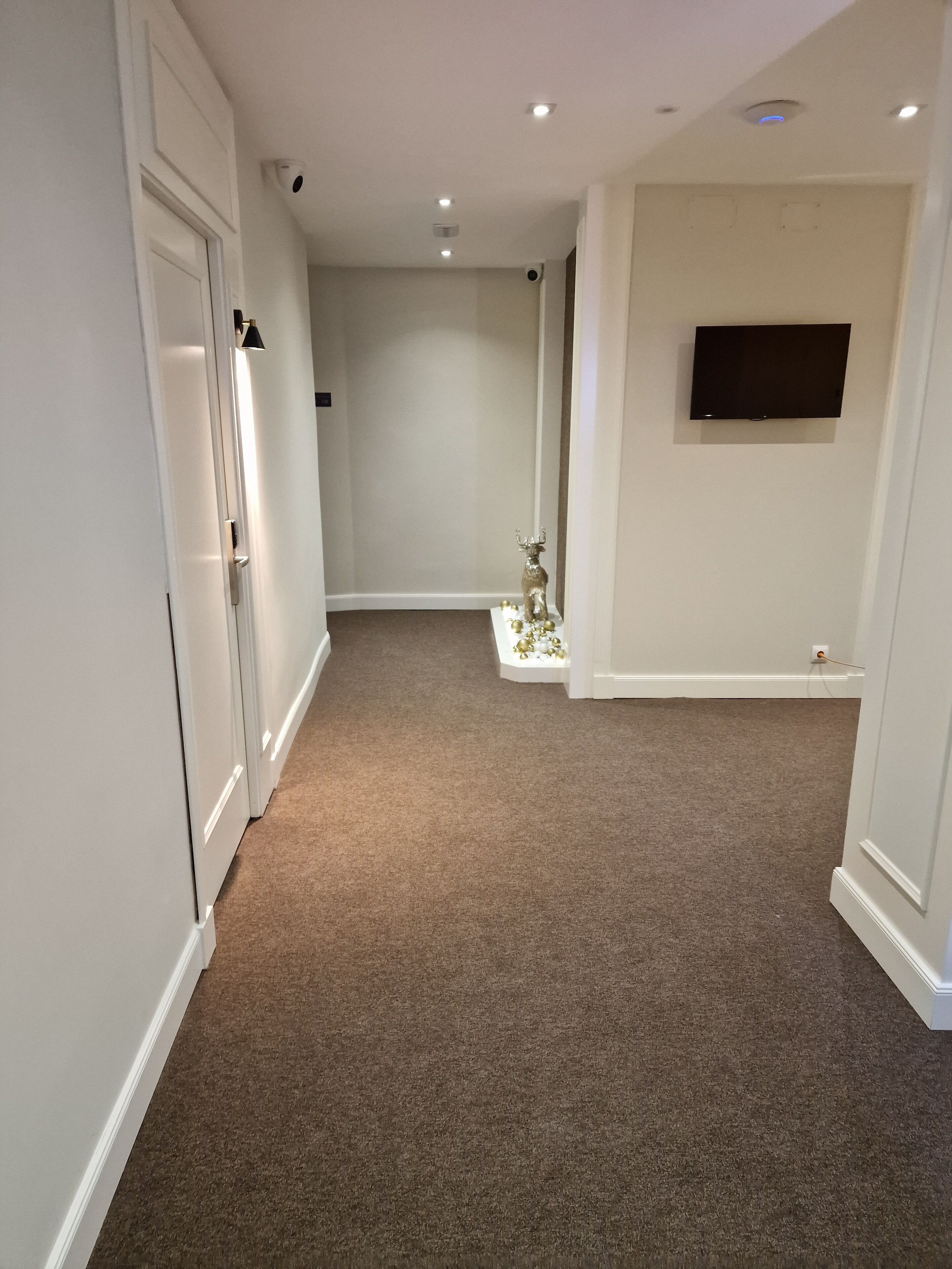 Foto - Le Petit Palü- Barco