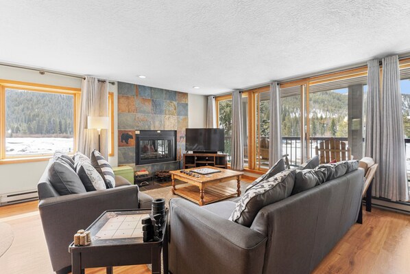 Smart TV, fireplace, DVD player, books