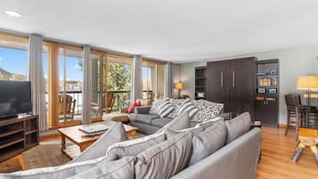 Smart TV, fireplace, DVD player, books